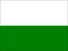 Flag of Estepona