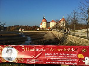 Banner-Aschenbroedel-Ausstellung-Moritzburg