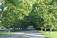 Barton Shore Drive Barton Hills Michigan