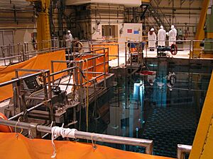 Caorso fuel pool