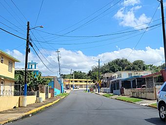 Carretera PR-6668, Manatí, Puerto Rico