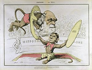 Ch Darwin-Emile Littré by André Gill