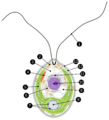 Chlamydomonas reinhardtii vector scheme