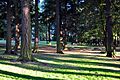 Creston park