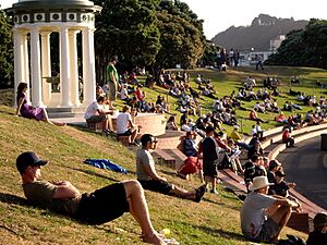 Cricket Spectators, Basin Reserve