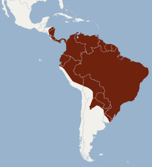 Distribution of Myotis riparius.png