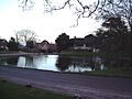 Dorset ashmore 01