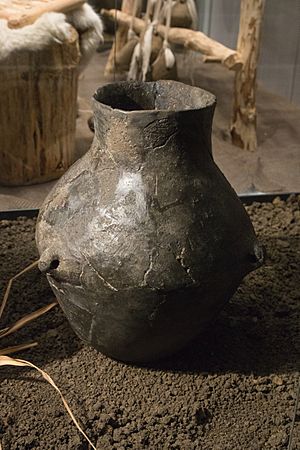 Early Copper Age pottery, Museum of Western Bohemia in Pilsen, 187736