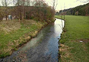 Eder river at Goddelsbach