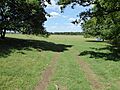 Eriswell Low Warren