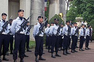French Armed Forces2