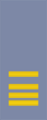 French Army (sleeves) OF-3