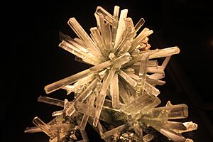Gfp-Gypsum-v-selenite