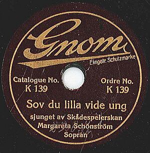 Gnom K139 Sov du lilla vide ung