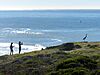 Great Blue Heron at Pillar Point Bluffs.jpg