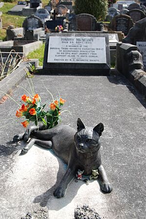 Harry McNeish Gravestone cat