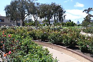 Inez Grant Parker Memorial Rose Garden, Balboa Park
