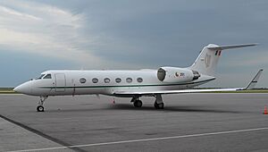 Irish Air Corps G-1159C 251