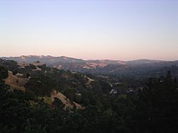 A view of Lafayette, California