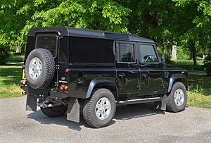 Land Rover Defender 110 XS TD DC 2015 - rear