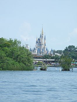 Magic Kingdom - Castle from Lagoon.jpg