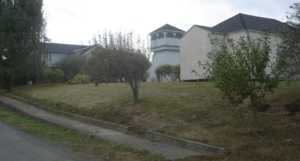 Concrete sidewalks at the bend in the road through 21st century dairy pastures identify the former company town of Metropolitan, California.