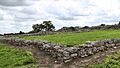 Mission Rosario Ruins