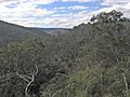 Mitchell-River-from-Bluff-Lookout