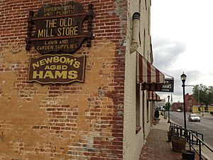 Nancy Newsom's Hams