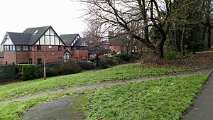 Newcastle-Under-Lyme station site