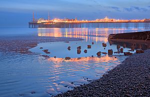 Oak foundation piles of the Royal Suspension Chain Pier Brighton and Brighton Pier