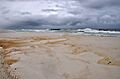 Oil Stained Beaches