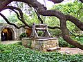Old well and oak tree in Alamo courtyard, San Antonio, Texas, June 4 2007