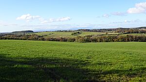 Oldhall Woods, Gadgirth, South Ayrshire, Scotland