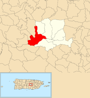 Location of Palo Hincado within the municipality of Barranquitas shown in red