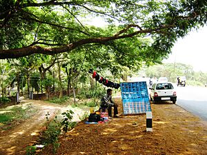 Payyannur stall