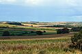 Peaks Downs, near Baydon - geograph.org.uk - 949195