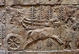 Periodo neo assiro, rilievi dalla stanza 7 del palazzo di sargon II a khorsabad, 721-705 ac ca. 02 cocchio reale