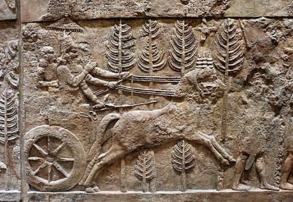 Periodo neo assiro, rilievi dalla stanza 7 del palazzo di sargon II a khorsabad, 721-705 ac ca. 02 cocchio reale