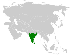 Pycnonotus luteolus distribution map.png