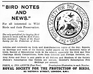 RSPB advert 1934