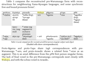 Reconstructed pre-Warumungu form with reconstructions for neighboring Pama-Nyungan languages