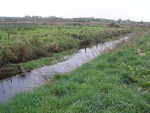 River Robe, Keebagh, facing downstream