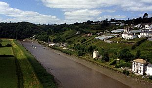 River Tamar from Calstock Viaduct - geograph.org.uk - 73430