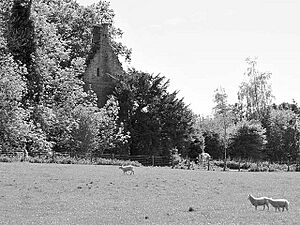 Ruins of Inchaffray Abbey - geograph.org.uk - 1330876
