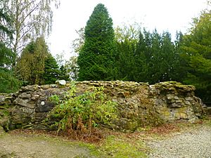 Ruins of Malcolm Canmore's Tower, Dunfermline