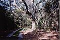 SC St Phillips Island