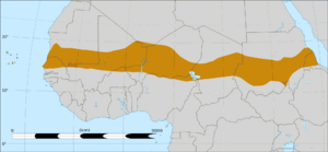 Sahel Map-Africa rough