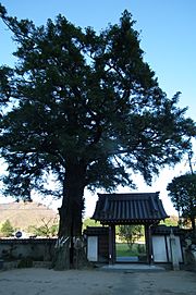 Saiho-ji Konda,Sasayama 3527