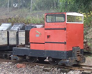 Simplex at Leighton Buzzard 05-09-11 30